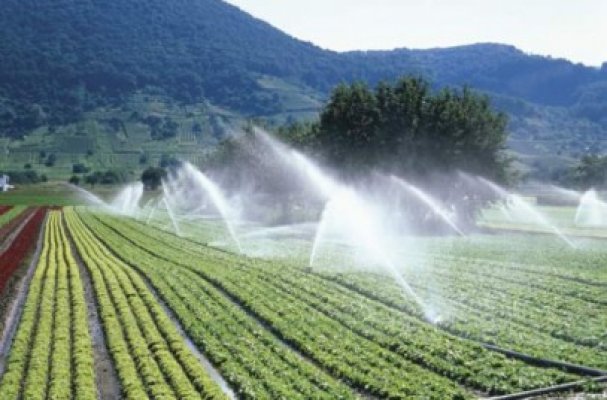 Consiliul Judeţean Constanţa începe refacerea sistemului de irigaţii în agricultură